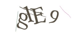 Identifying code
