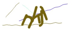 Identifying code