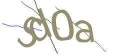 Identifying code