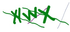 Identifying code