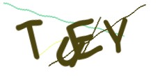 Identifying code