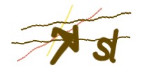 Identifying code