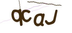 Identifying code