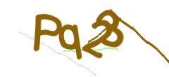 Identifying code