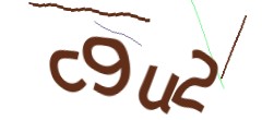 Identifying code