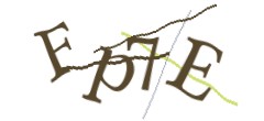 Identifying code