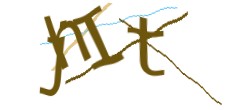 Identifying code