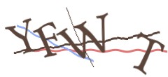 Identifying code