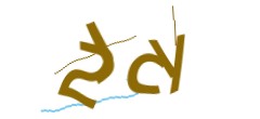 Identifying code