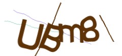 Identifying code