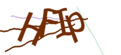 Identifying code