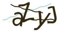 Identifying code