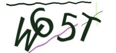 Identifying code