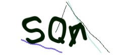 Identifying code