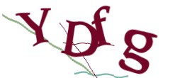 Identifying code