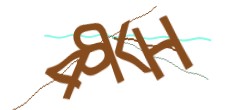 Identifying code