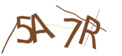 Identifying code