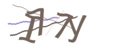 Identifying code