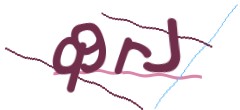 Identifying code