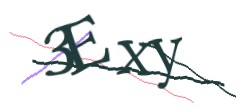 Identifying code