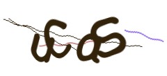 Identifying code