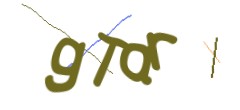 Identifying code