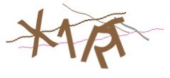 Identifying code