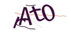 Identifying code