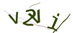 Identifying code
