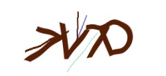 Identifying code