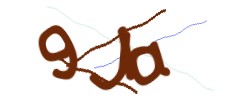 Identifying code