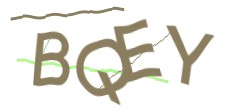 Identifying code