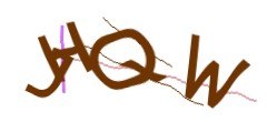 Identifying code