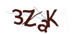 Identifying code