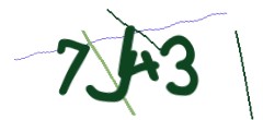 Identifying code