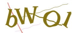 Identifying code