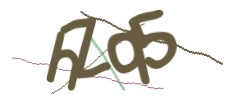 Identifying code