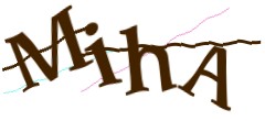 Identifying code