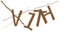 Identifying code