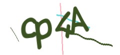 Identifying code