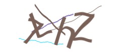 Identifying code