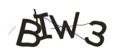 Identifying code