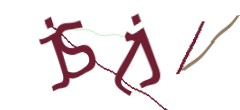 Identifying code