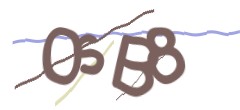 Identifying code