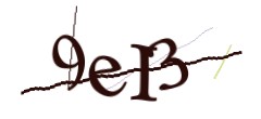 Identifying code