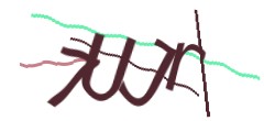 Identifying code