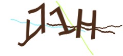 Identifying code