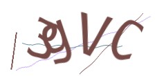 Identifying code
