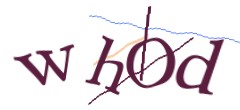 Identifying code