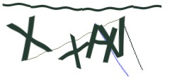 Identifying code